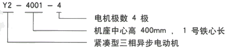 YR系列(H355-1000)高压YKK3554-4/250KW三相异步电机西安西玛电机型号说明